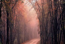 球速体育平台登录入口：RB萊比錫欲換帥坦赫格成繼任熱門　勢由高普對手變「下屬」｜德甲.