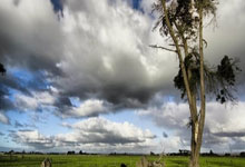 英超第21輪切爾西2-2利物浦 薩拉赫馬內破門科瓦契奇神仙球.