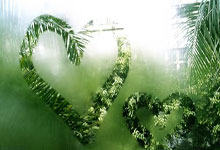 球速体育平台登录入口：2024年Tennis123年终总决赛举行 176名选手角逐.