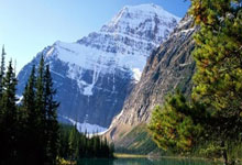 [一图流]TES最终团战中野武魂融合技秒杀Elk，TES团战大胜一波推平33亮82回复.