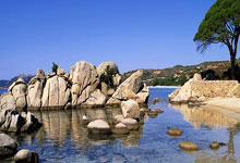 【MotoGP】2024-17澳洲GP决赛：M. Marquez虽发生起跑失误但仍夺下胜利.